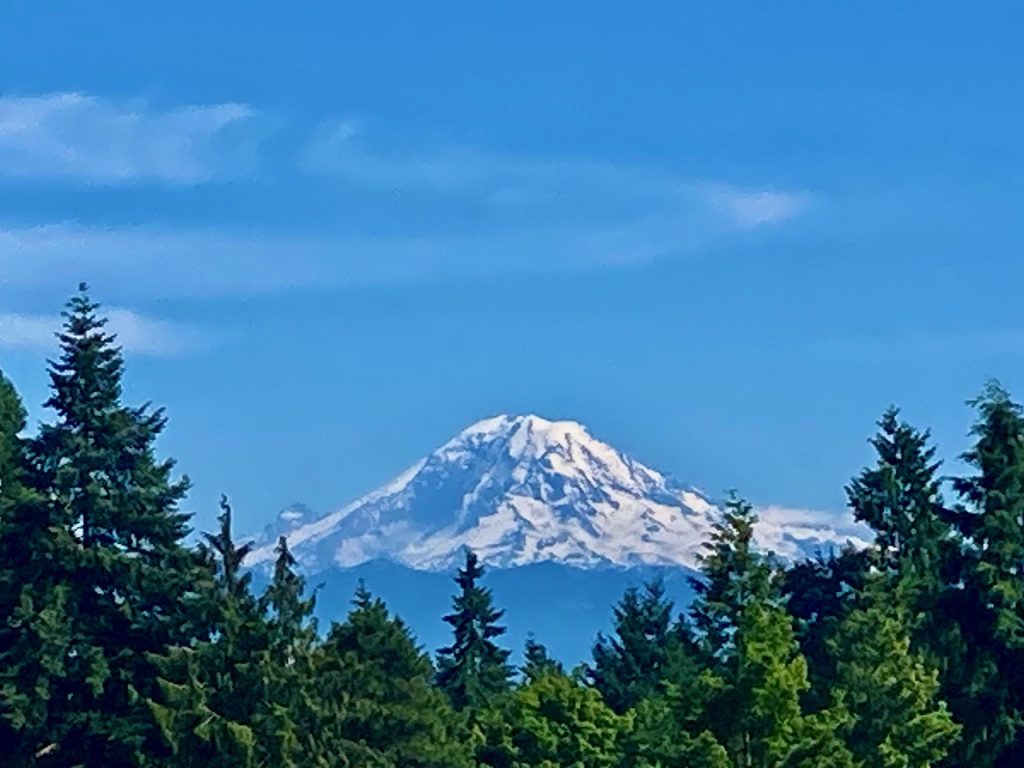 Mt. Rainier 